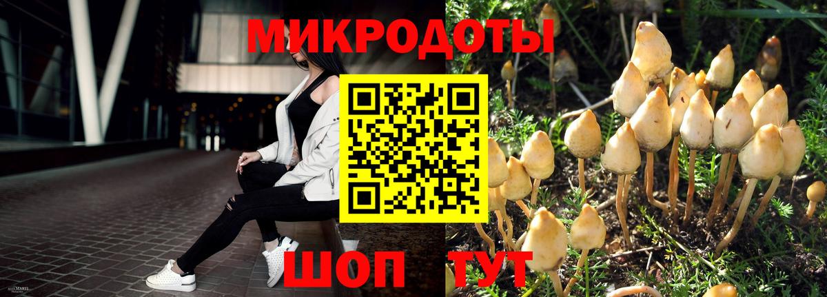 Галлюциногенные грибы Cubensis  Вход с VPN  Чернушка  Галлюциногенные грибы Magic Shrooms 